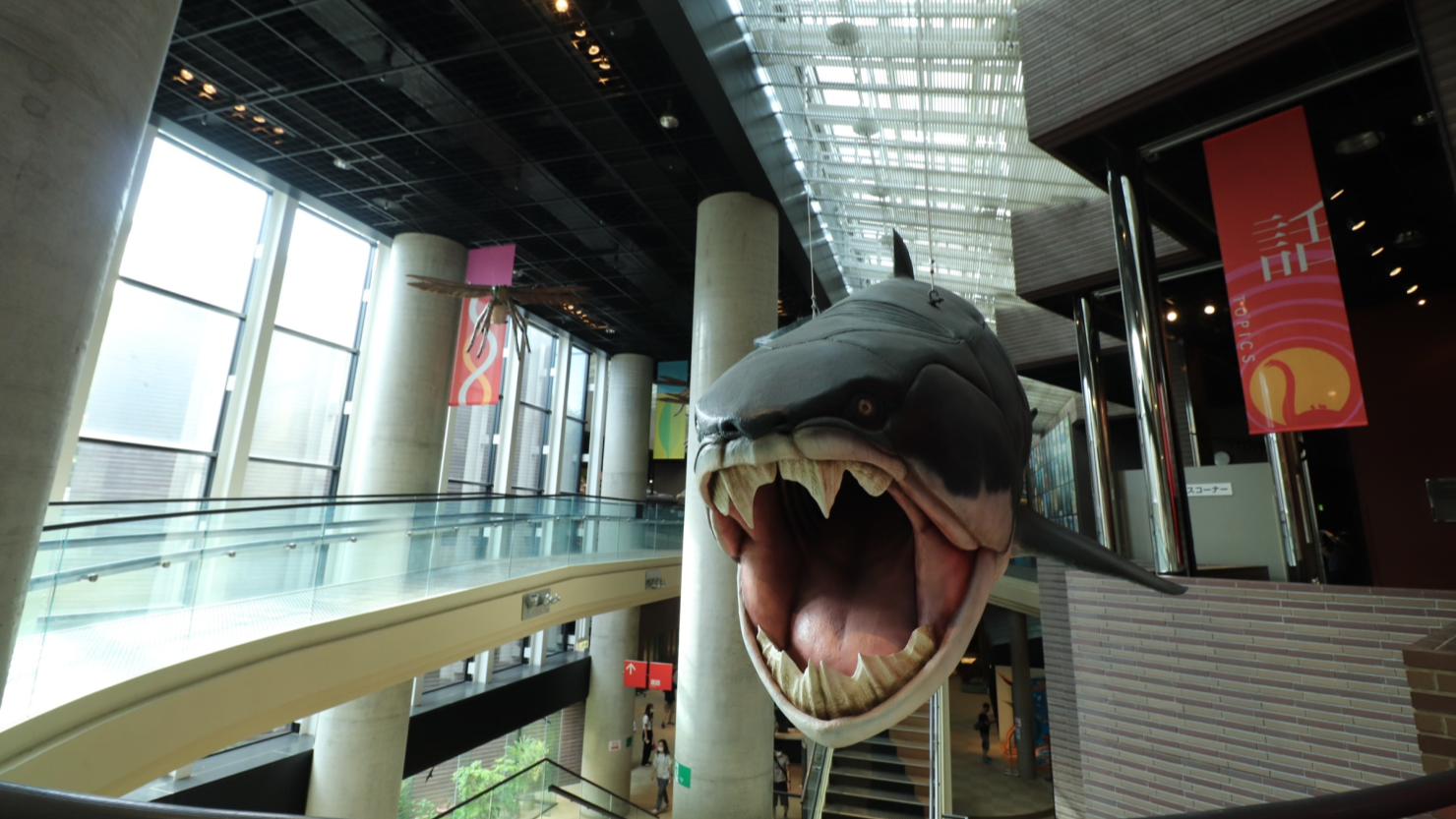 「ミュージアムパーク茨城県自然博物館」は坂東市にある、屋内・屋外展示が豊富な自然史系博物館