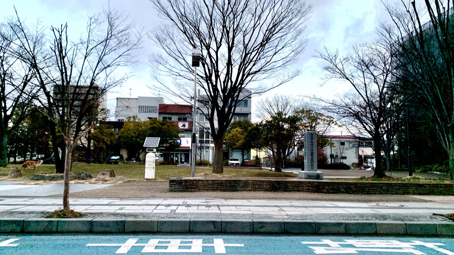 夏場はラジオ体操の会場になる芳山公園