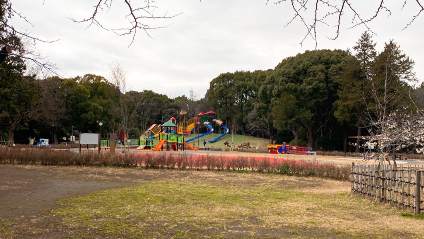 平塚市総合公園のわんぱく広場
