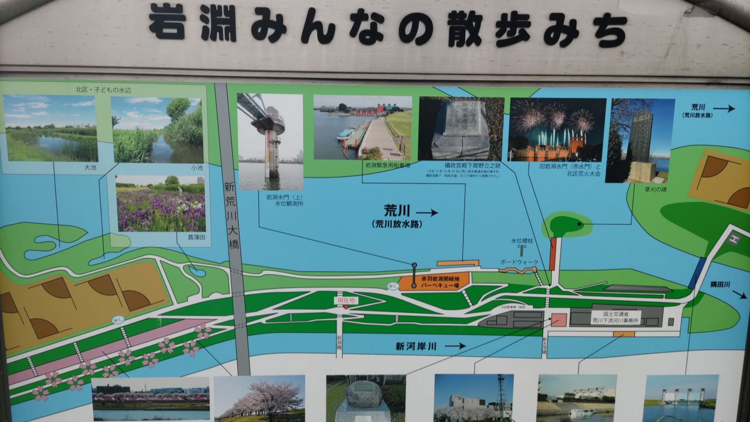新河岸川沿いにある案内図