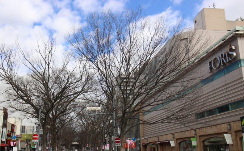 「府中駅」周辺を散歩しよう！地元住民が自然をたっぷり満喫できるおすすめスポットを紹介