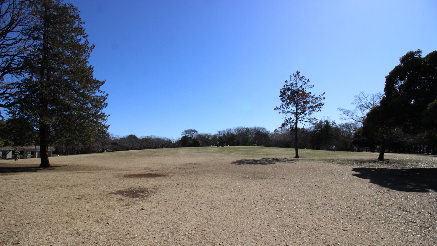 気持ちいい広場は寝転んでくつろぐ人も