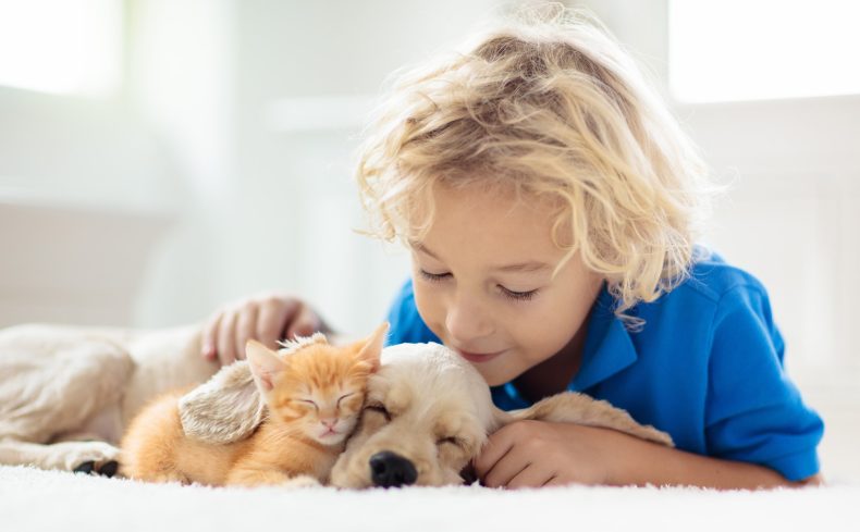 ペットフレンドリーな米国の住まいと暮らしとは？動物に優しく、飼い主に厳しい米国の仕組みを知る