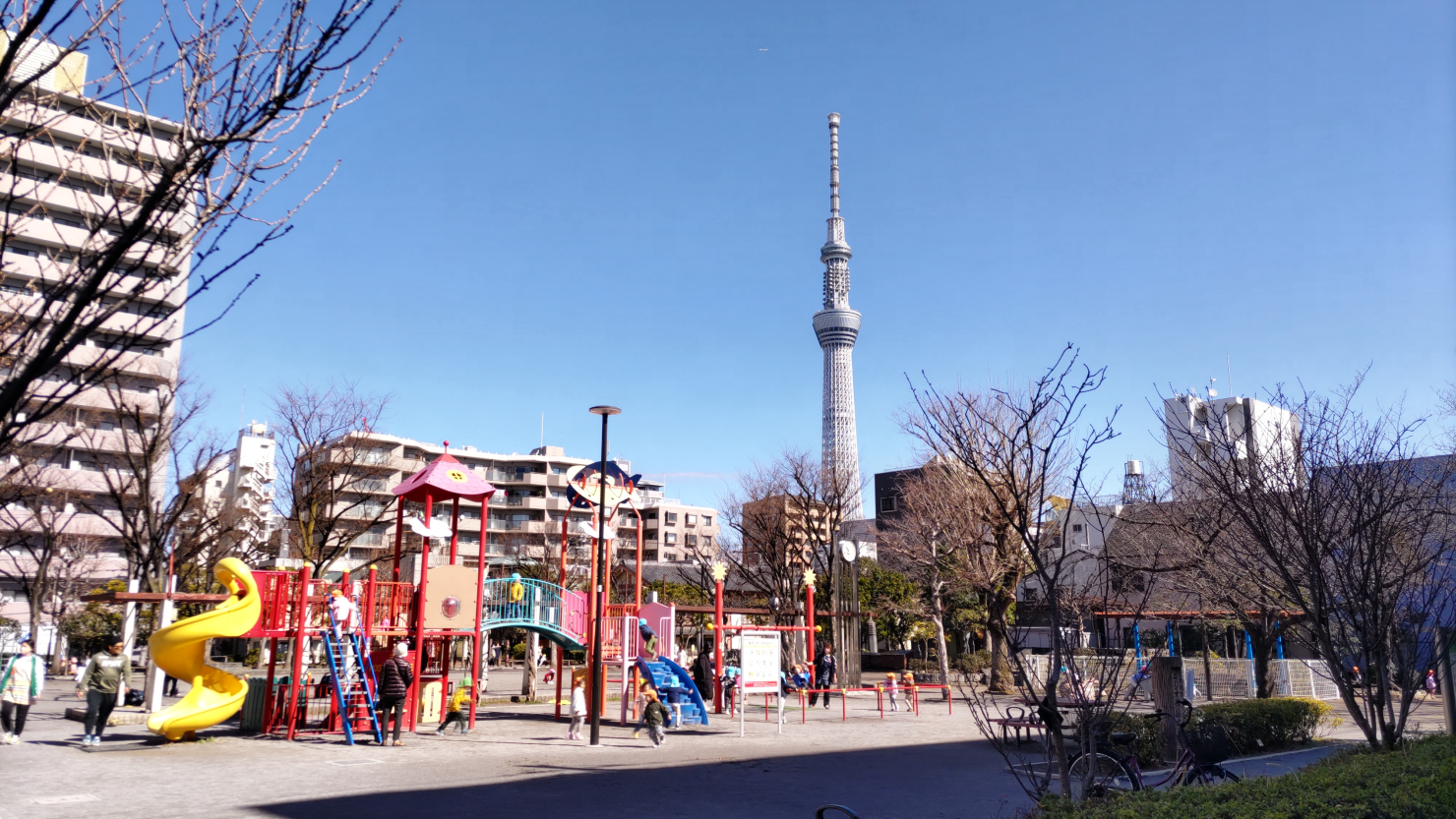 東京スカイツリーⓇが見える公園