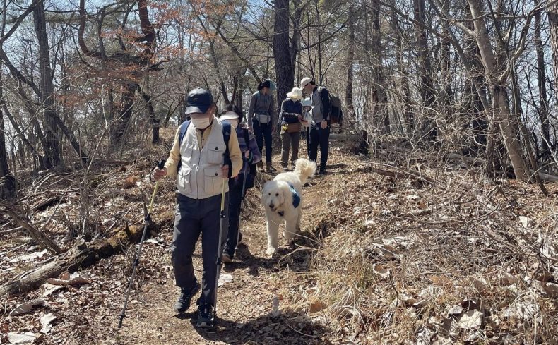 青空、富士山、山桜。老若男女が呆然の絶景、百蔵山（山梨県）に登ろう！～第14回 犬と週末登山の体験記