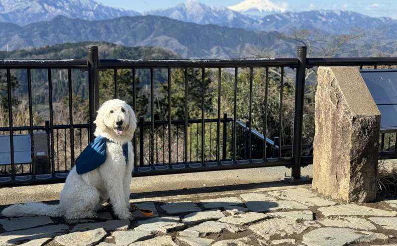 日本一登山者が多い山、高尾山（東京都）に登ろう！～第15回 犬と週末登山の体験記