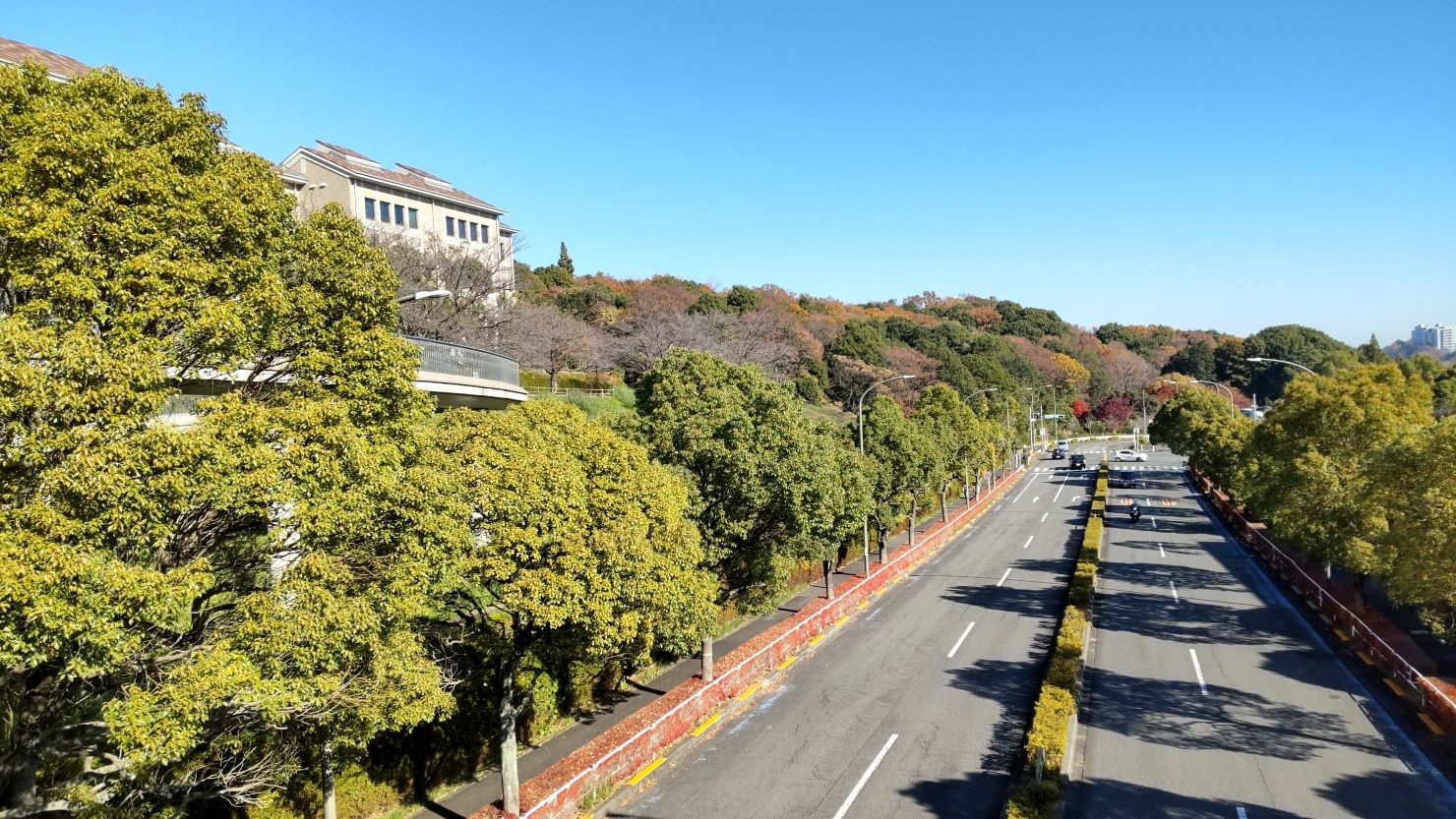 丘陵地帯を通る多摩ニュータウン通り　© なおと