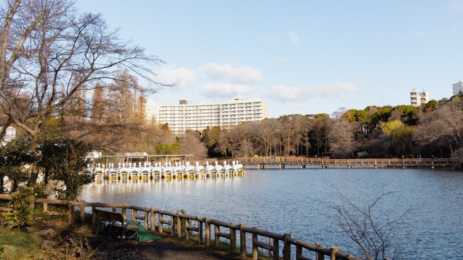 池の周りにはベンチが多数設置され、自然を眺めながらくつろげる　© 川津多久摩