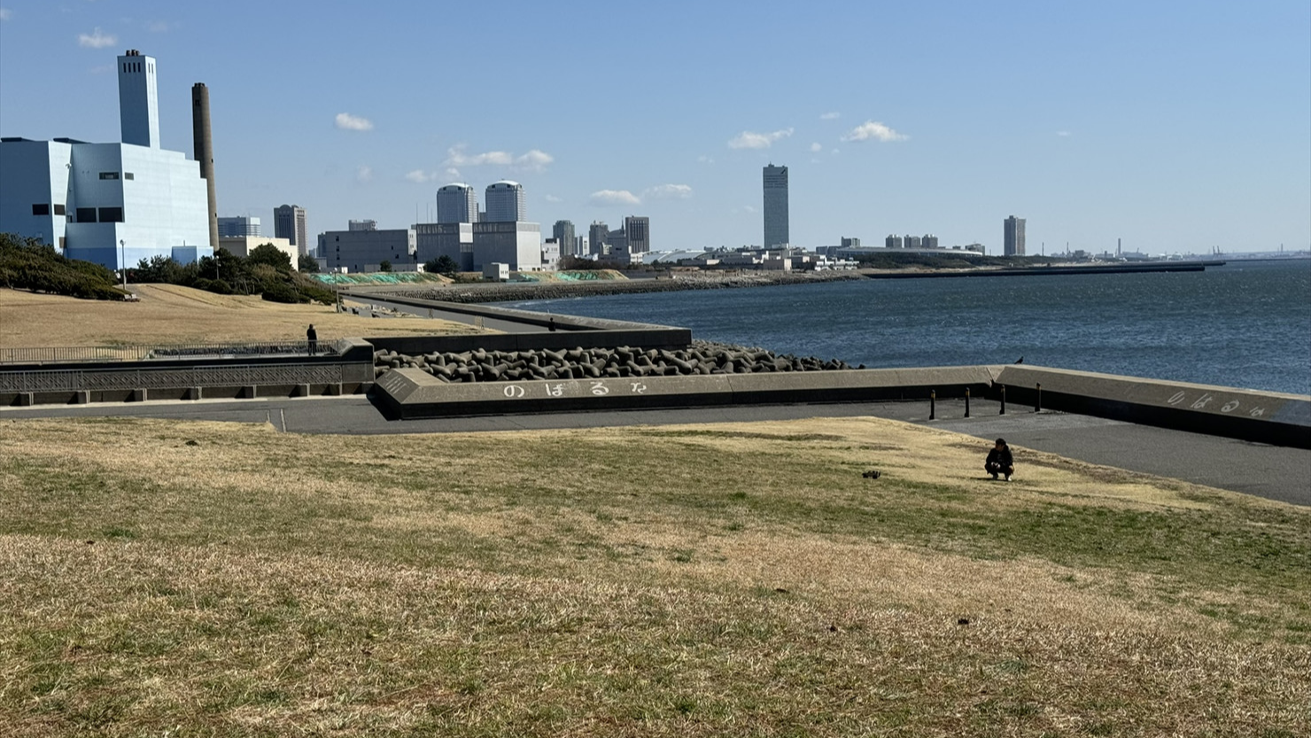 広々とした茜浜緑地から幕張新都心を望む