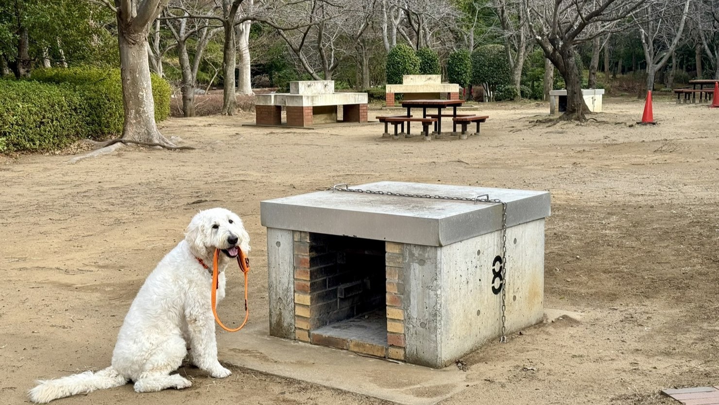 通年利用可能なバーベキュー施設