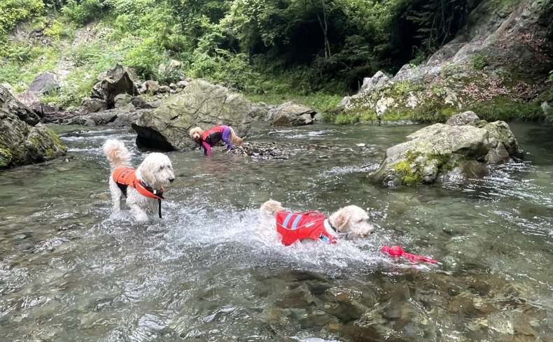 秋川渓谷（東京都）で川遊びを楽しもう！あまりの美しさに「本当にここは東京!?」と呆然