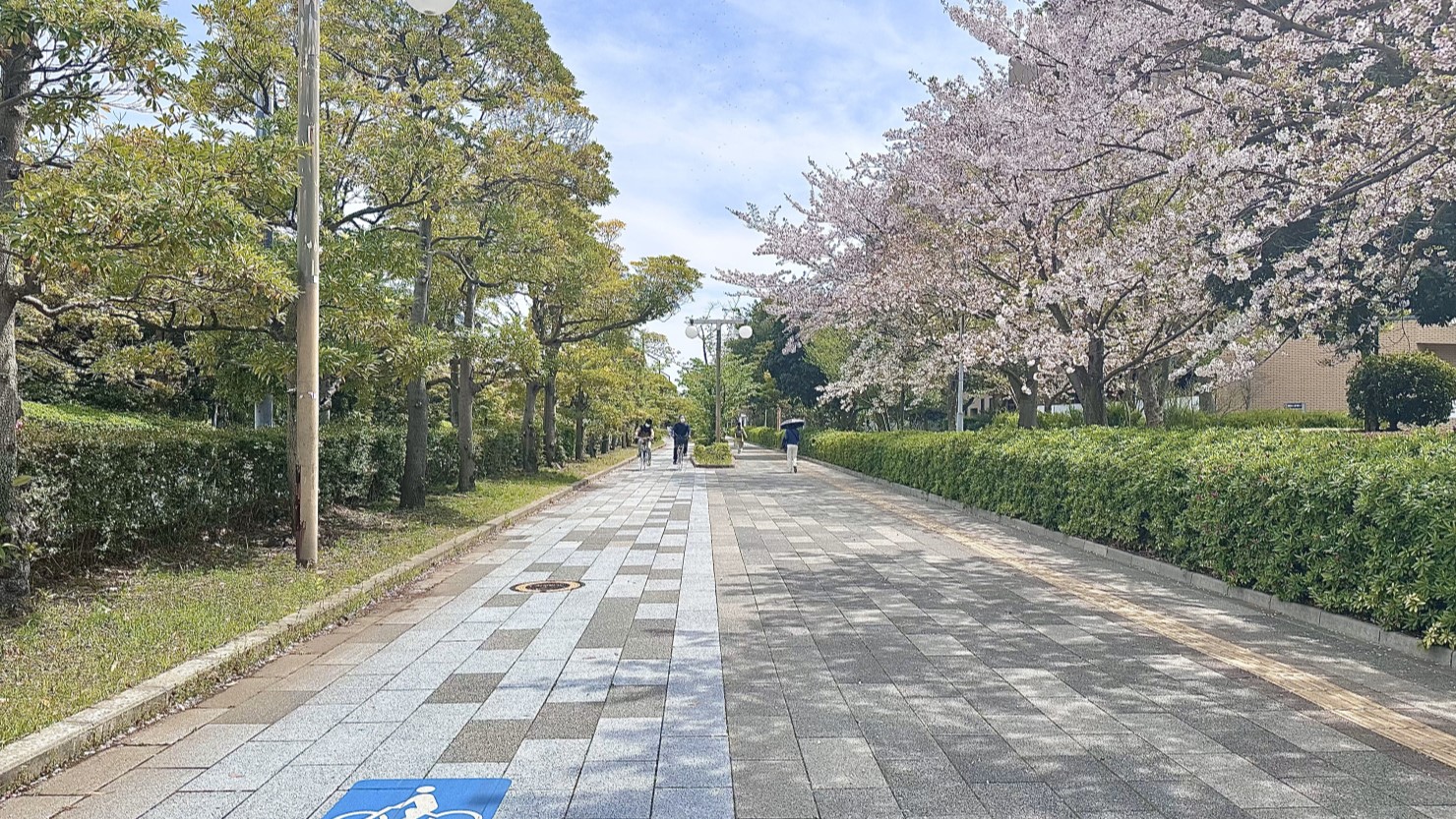 自転車と歩行者で区分されているエリアもある