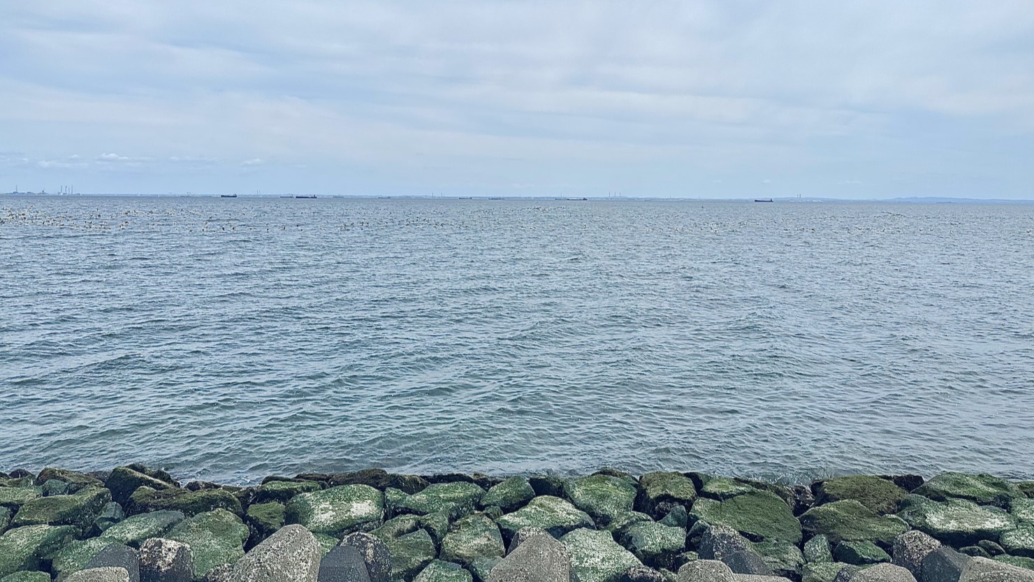 浦安市総合公園では海の間近を歩ける