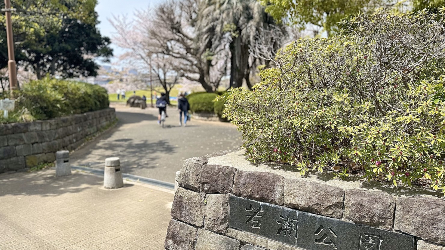 交通公園、若潮公園
