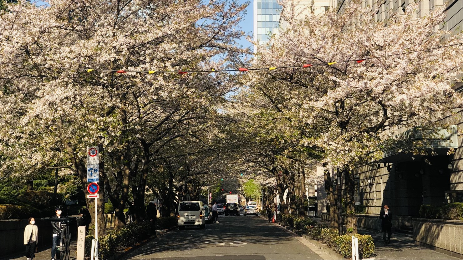 竜閑さくら橋に向かう途中の街並み