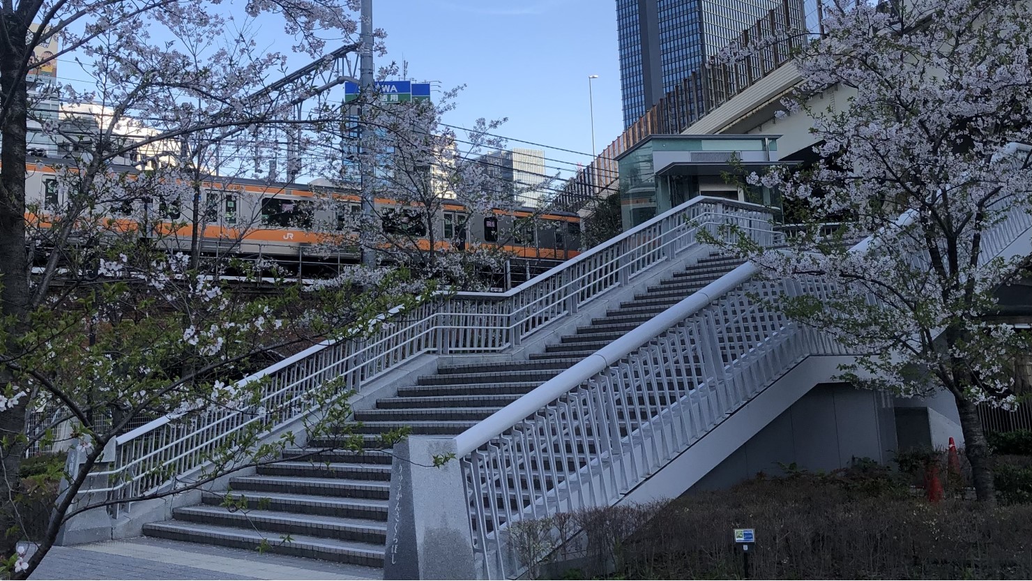 竜閑さくら橋は鉄道橋とほぼ同じ高さ