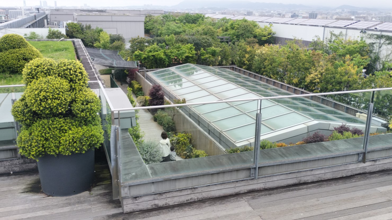 JR博多シティの屋上からはたくさんの緑が見える