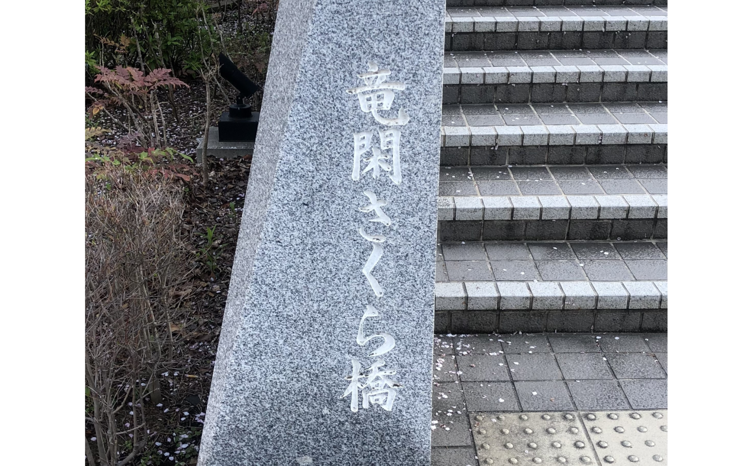 竜閑さくら橋