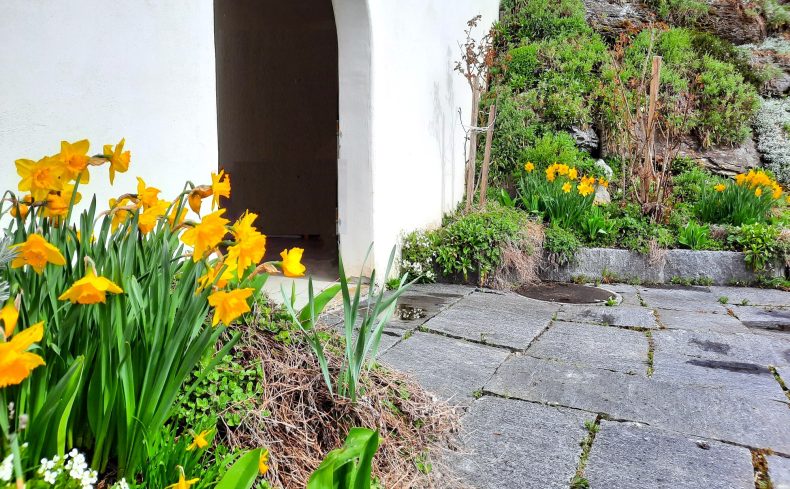 定番スタイルからトレンドまでアイデア豊富！スイス流の庭の楽しみ方