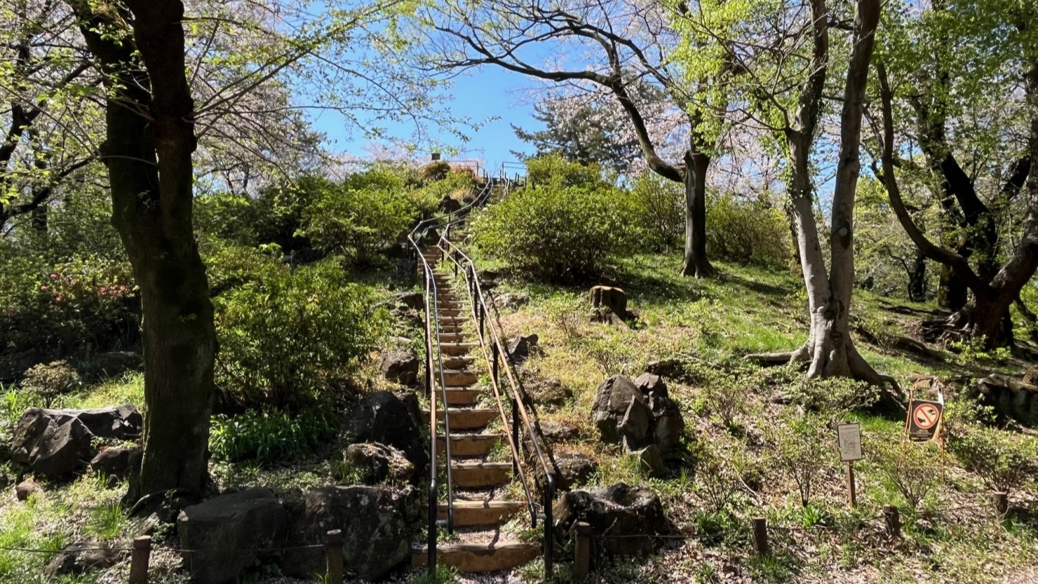周辺を願望できる「都立戸山公園　箱根山」