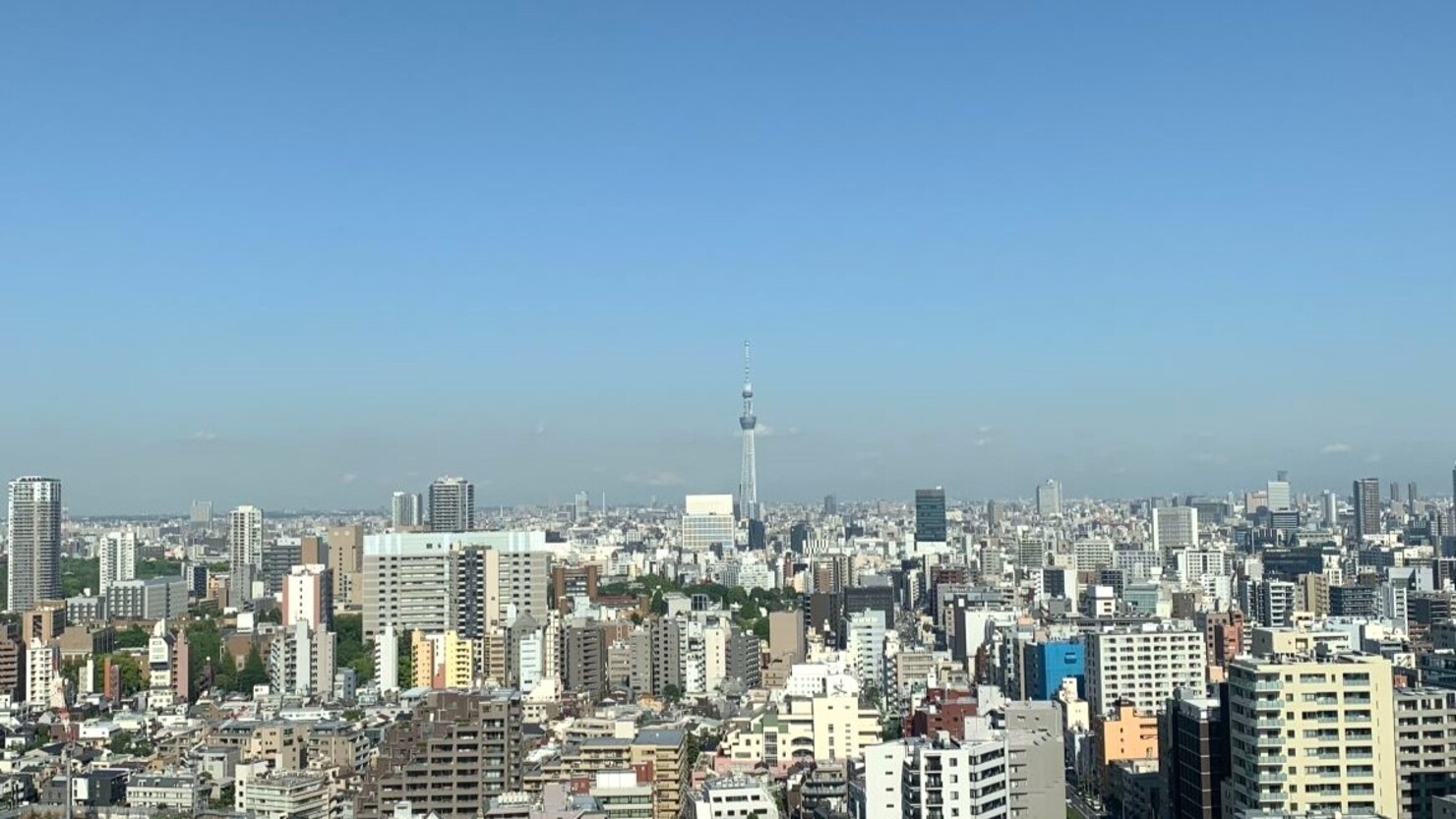 文京シビックセンター 25階 展望ラウンジから望む東京スカイツリー　　© 三日月