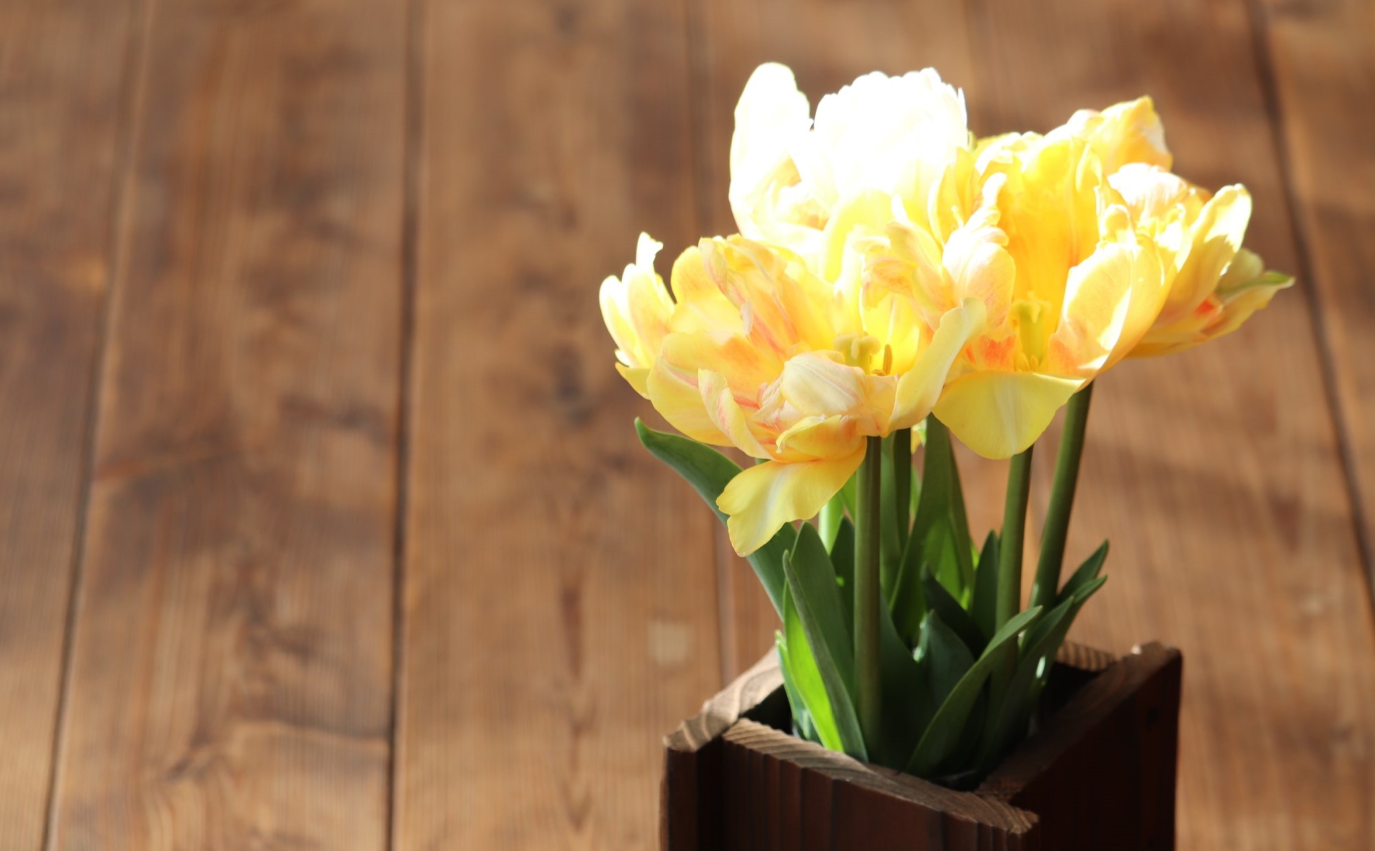 「二段階移住」は堅実な移住手法！実体験やメリット・デメリットを経験者が解説