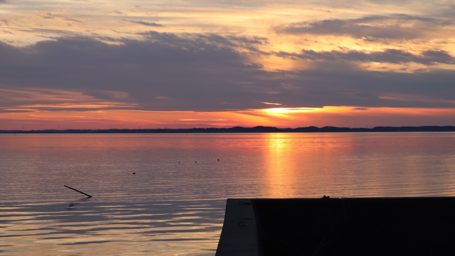 私が二段階移住をして暮らしている茨城県行方市の景色