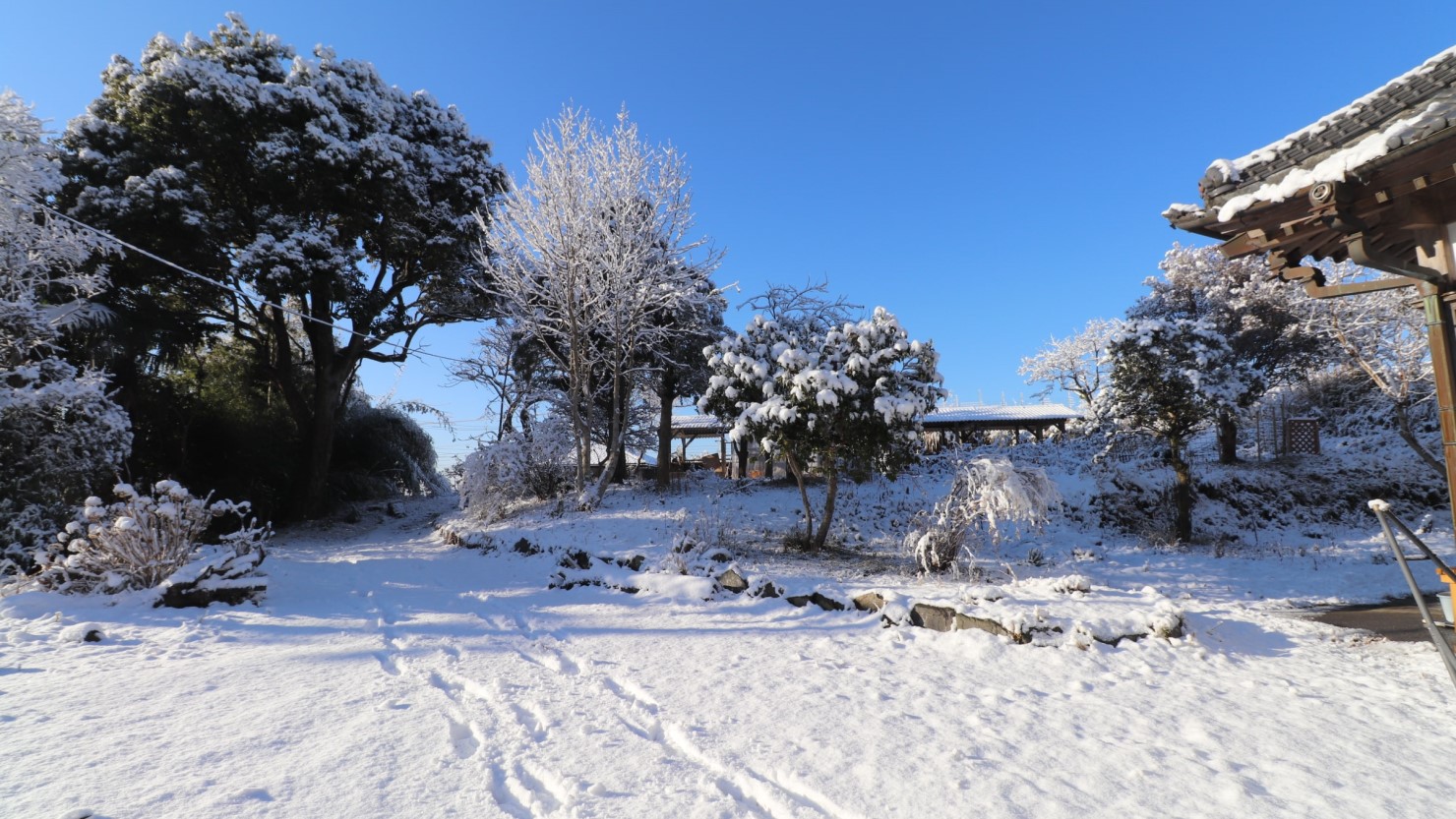大雪が降った日