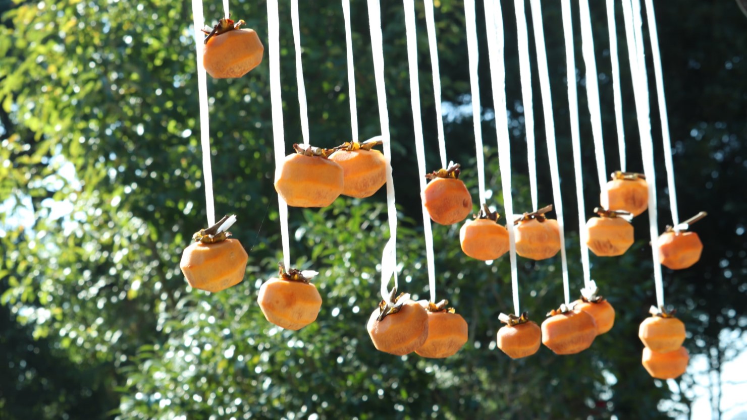 干し柿を作っているところ