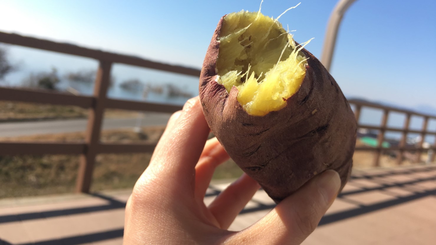 茨城県行方市はサツマイモの産地で焼き芋がおいしい