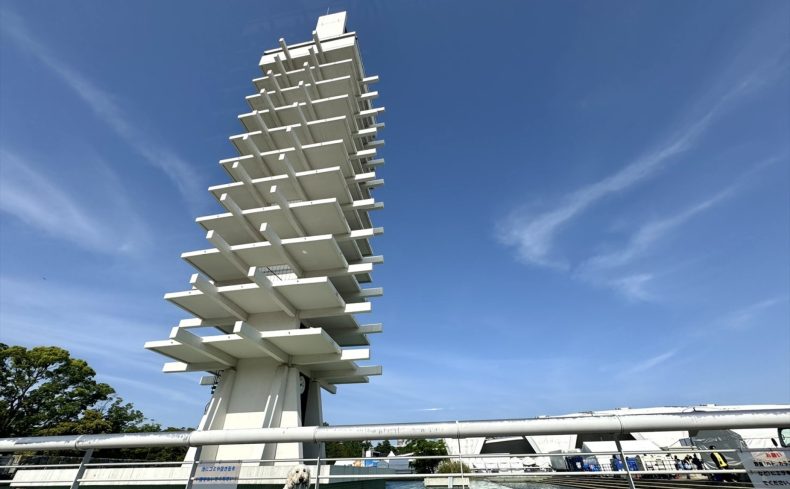 駒沢オリンピック公園（世田谷区）のドッグランで愛犬と遊ぼう！～椎名前太の犬と楽しむ公園ガイド