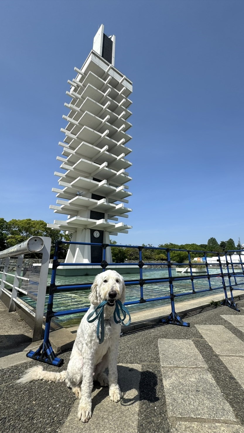 駒沢オリンピック公園（世田谷区）のドッグランで愛犬と遊ぼう！～椎名