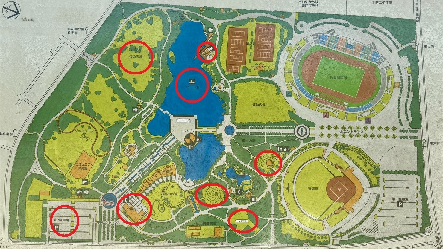 左側の第2駐車場から散歩開始