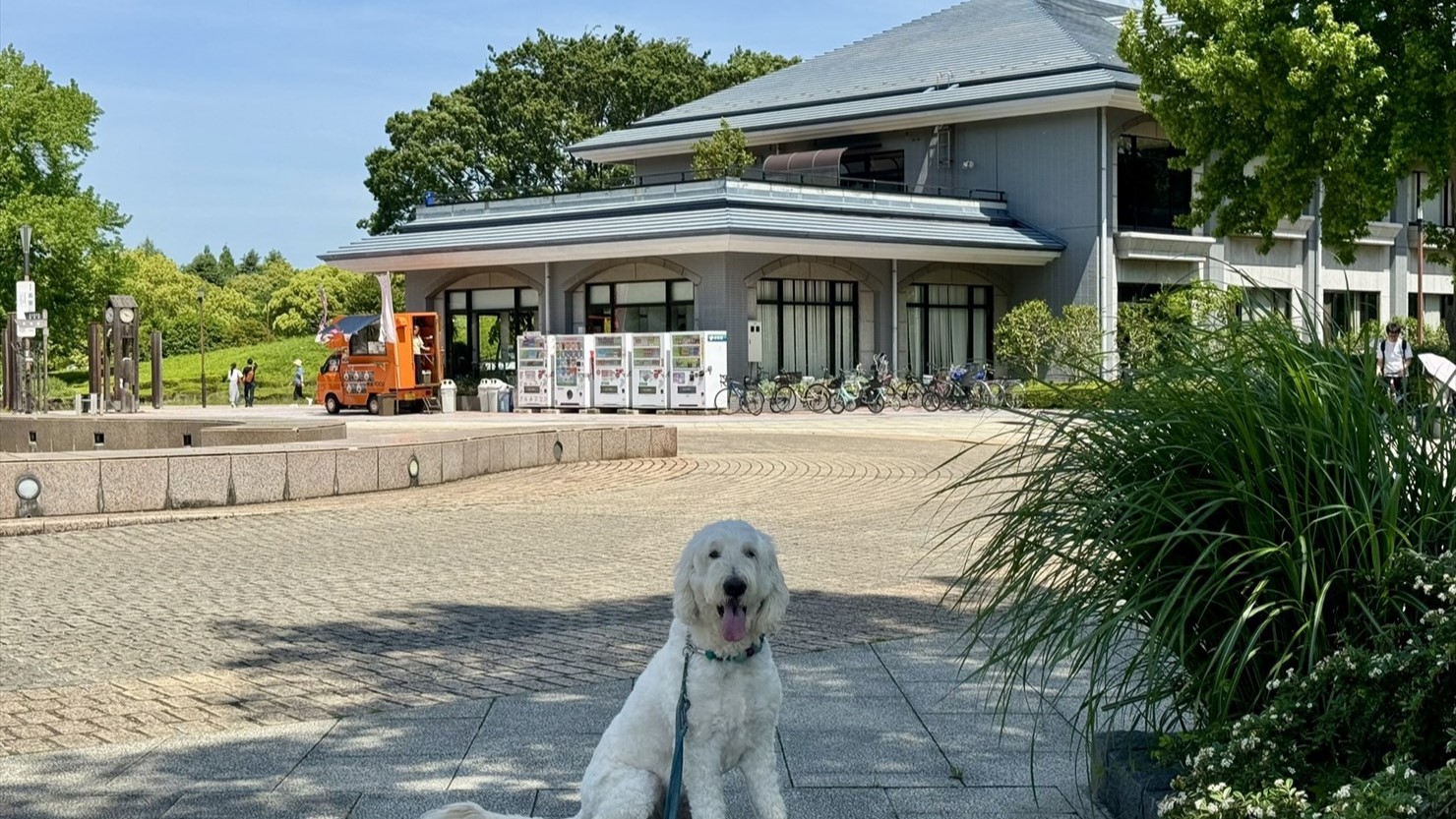 立派な建物の公園センター