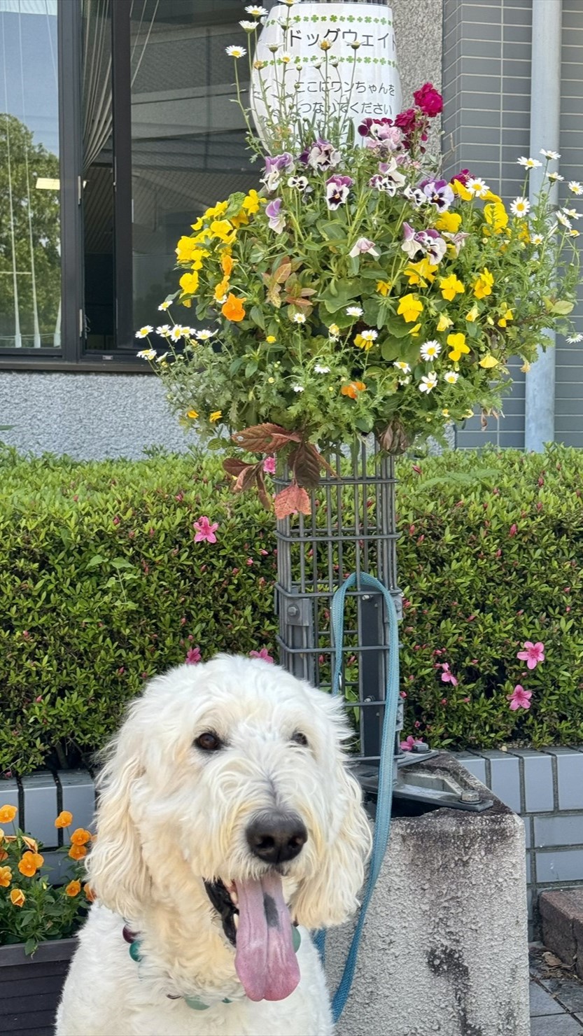 公園センターの入口にはリードフックがあった。愛犬家としてはうれしい！