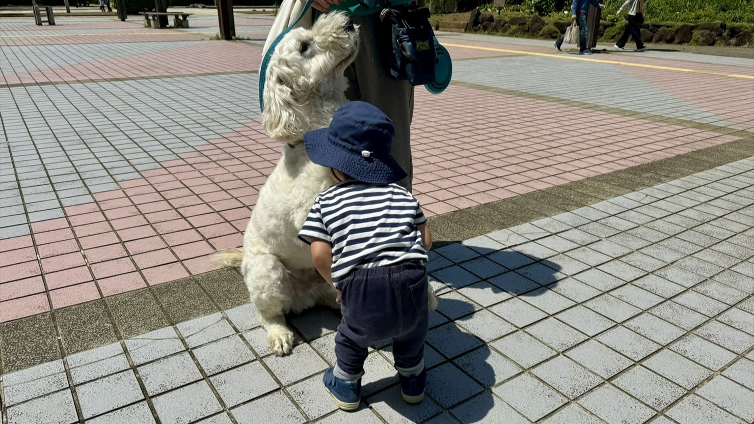 泰楽がどんな態勢になっても「むぎゅ～～っ」