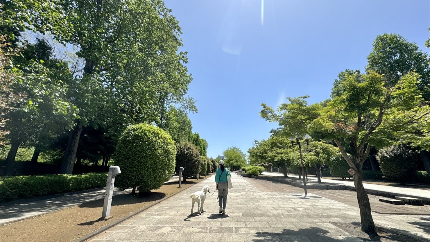 きちんと剪定された植栽。時期的に花は少なかったが、新緑が美しい！