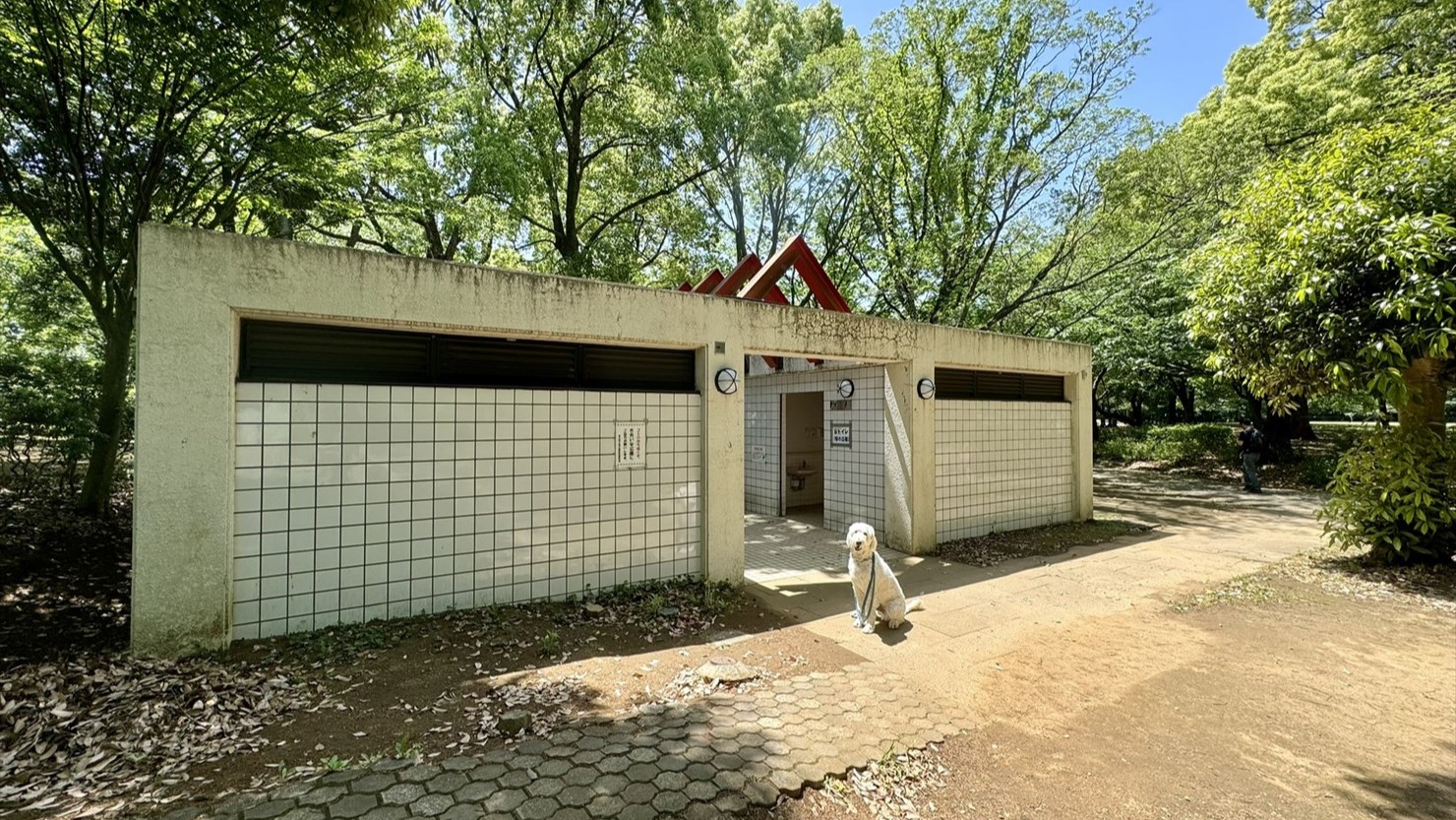 園内にはこのような立派なトイレが複数ある。ただし、ボート池中央のレストハウスのトイレは工事中で利用不可だった（2024年5月現在）