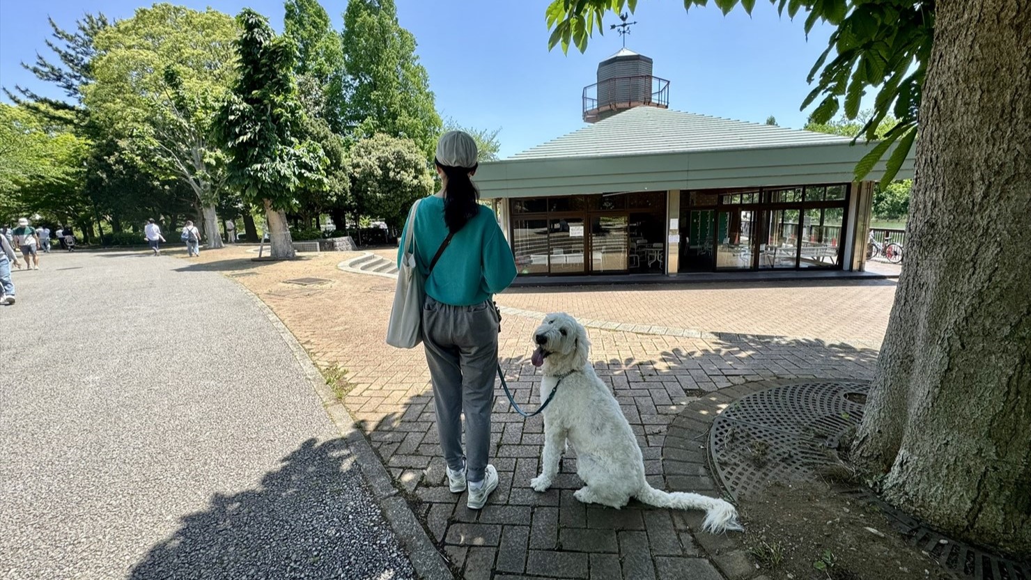 ボートハウス。スワンボートはここから乗るようです