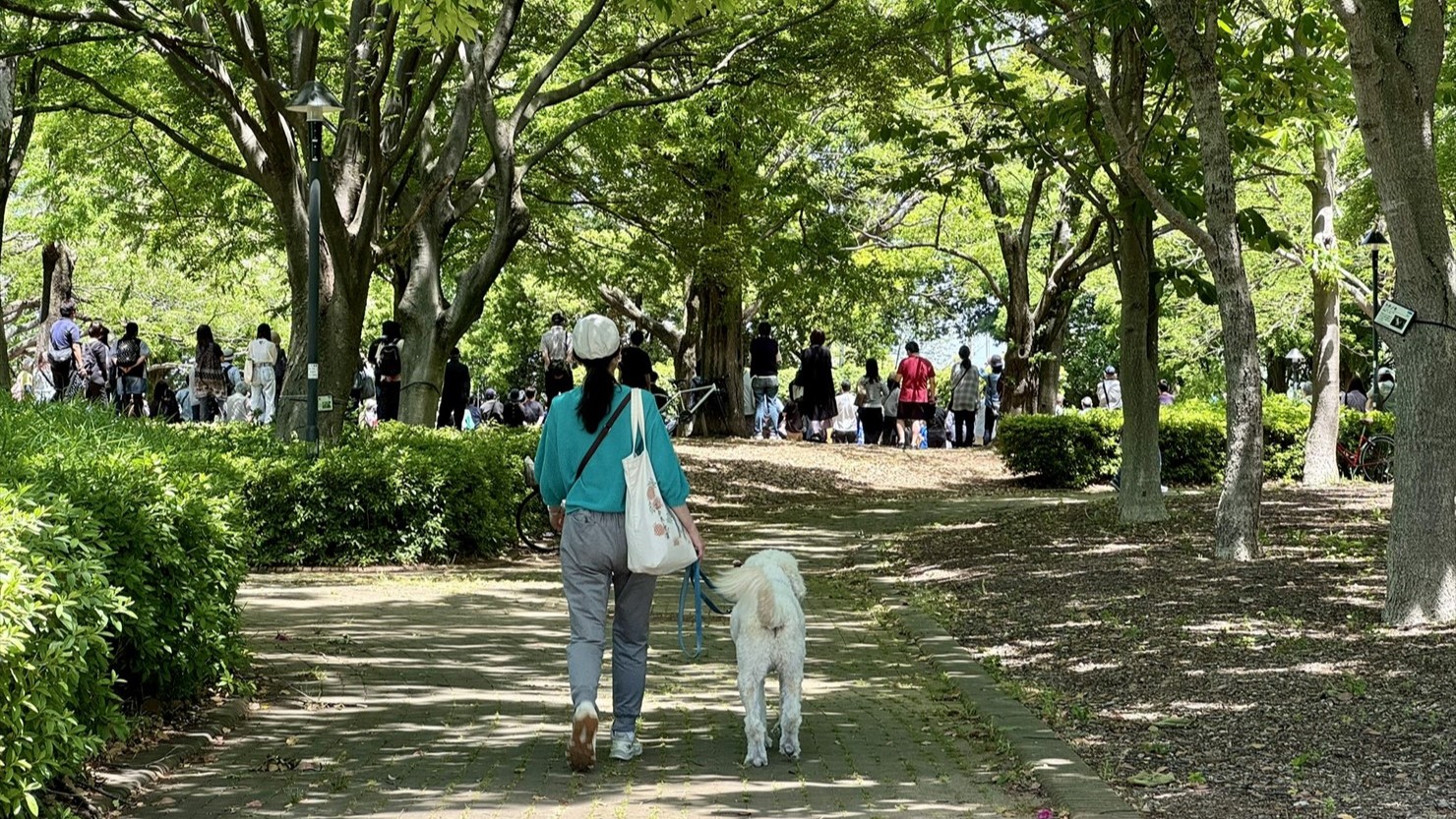 あの人垣の理由はなんでしょう？