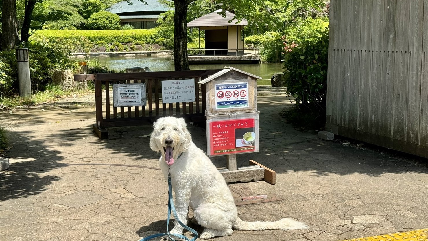 日本庭園には犬と一緒に入れない