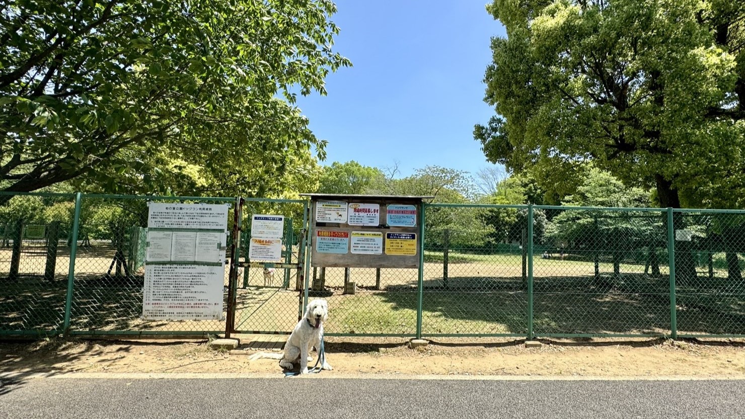ドッグランの入口