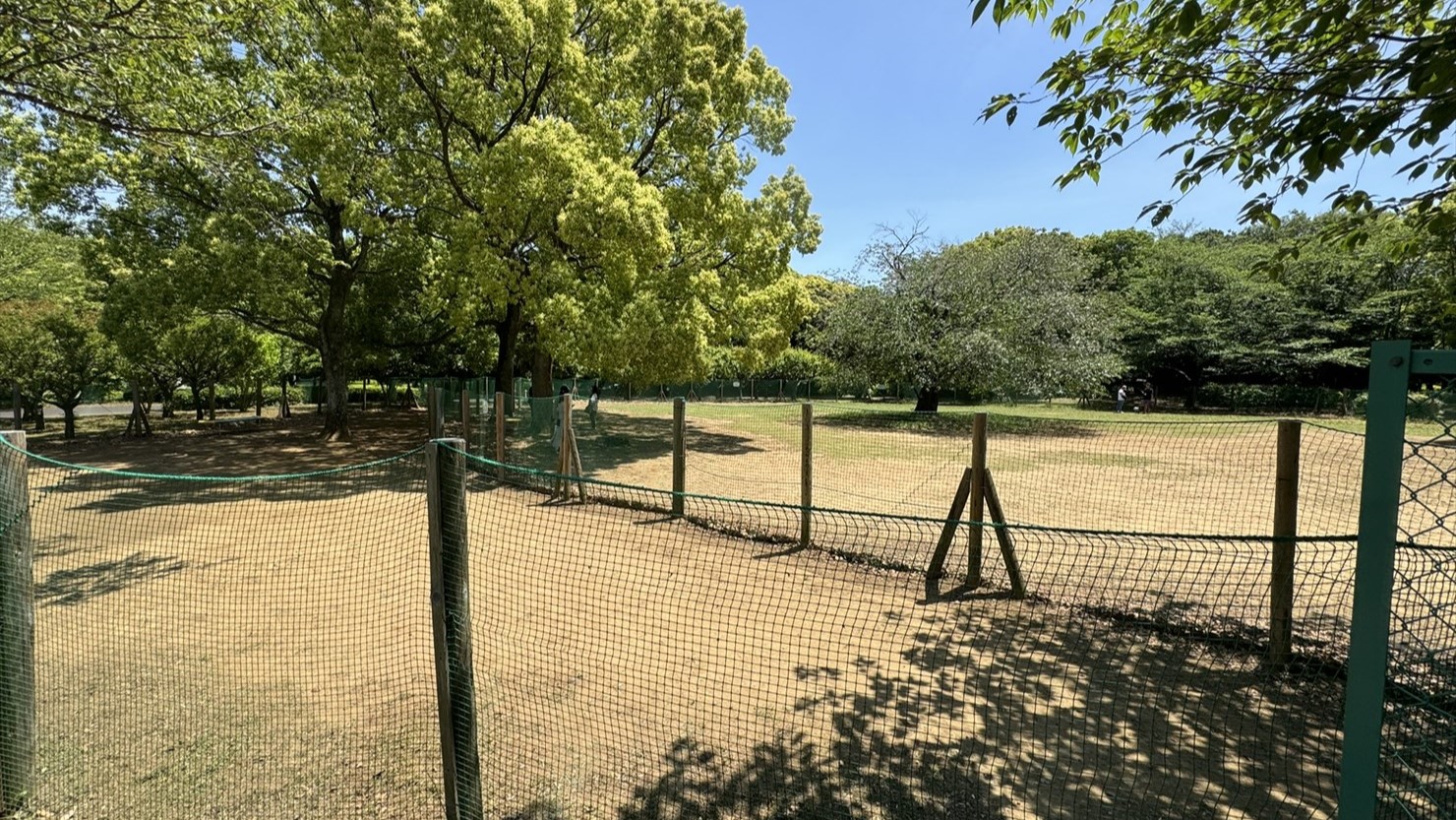 手前が小型犬優先エリア、奥がフリーエリア