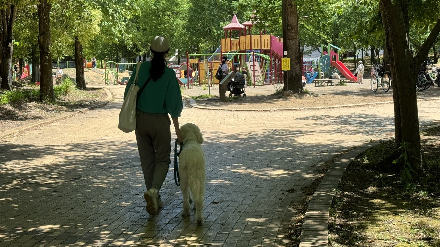 大勢の親子連れでにぎわう「冒険のトリデ」