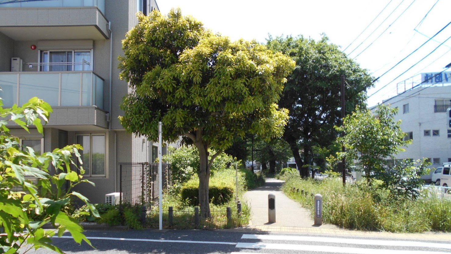 烏山川緑道（東側）