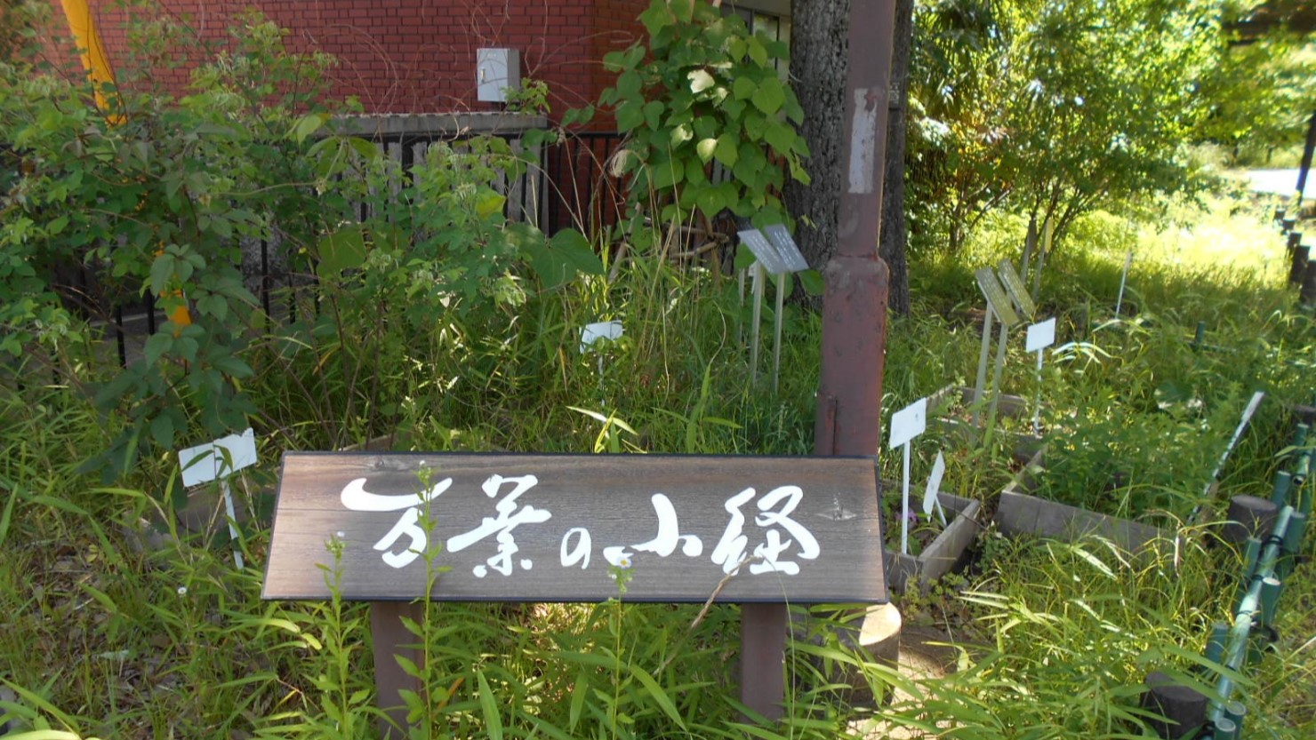 鷗友学園の東側に整備された万葉の小径