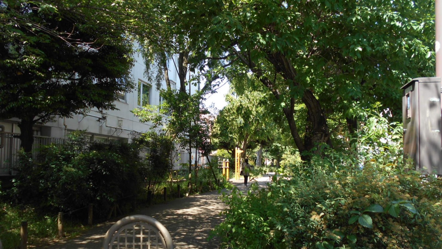 烏山川緑道（西側）