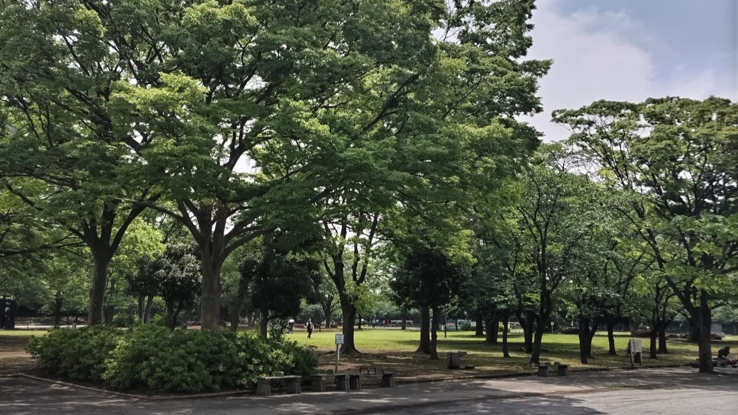 新小岩公園