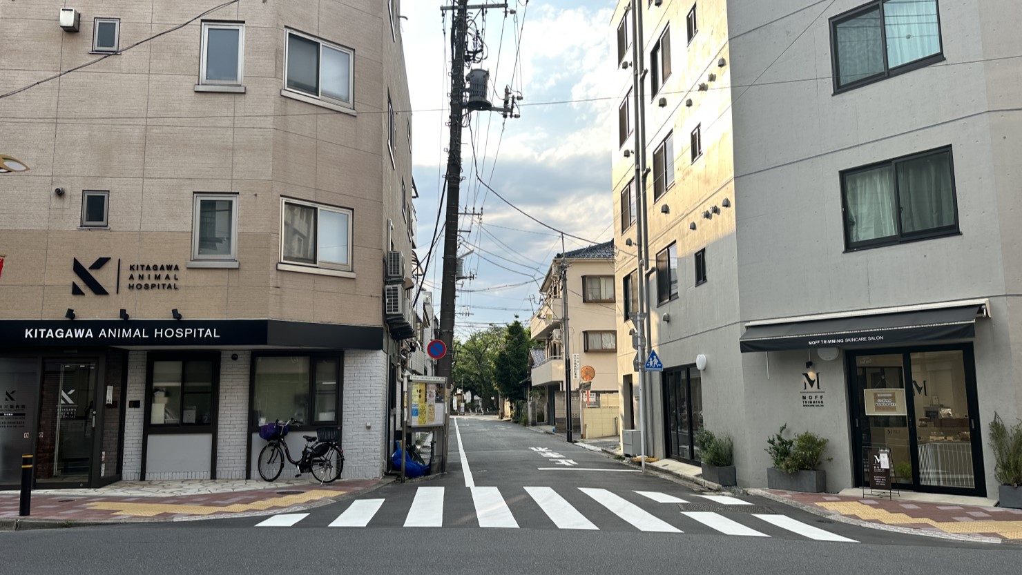 ペットホテル、右：ペットサロン