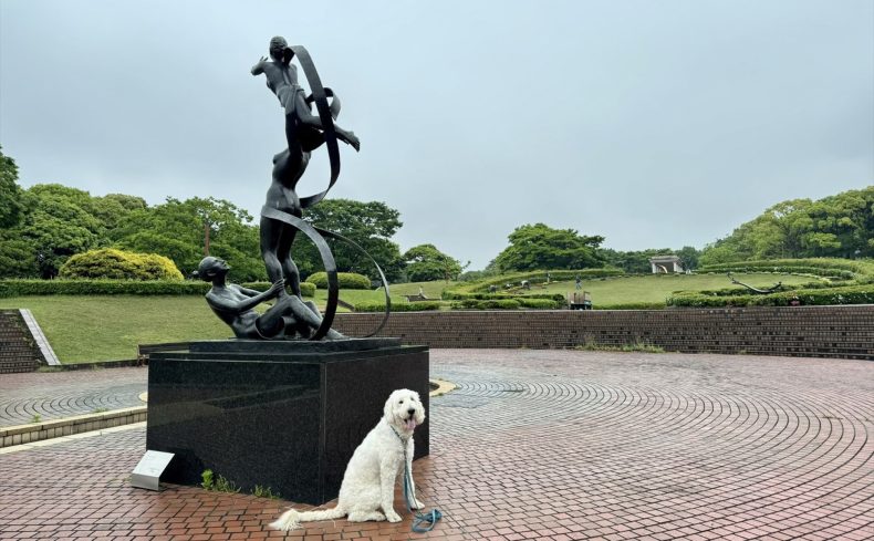 青葉の森公園（千葉市）を愛犬と散歩しよう！～椎名前太の犬と楽しむ公園ガイド